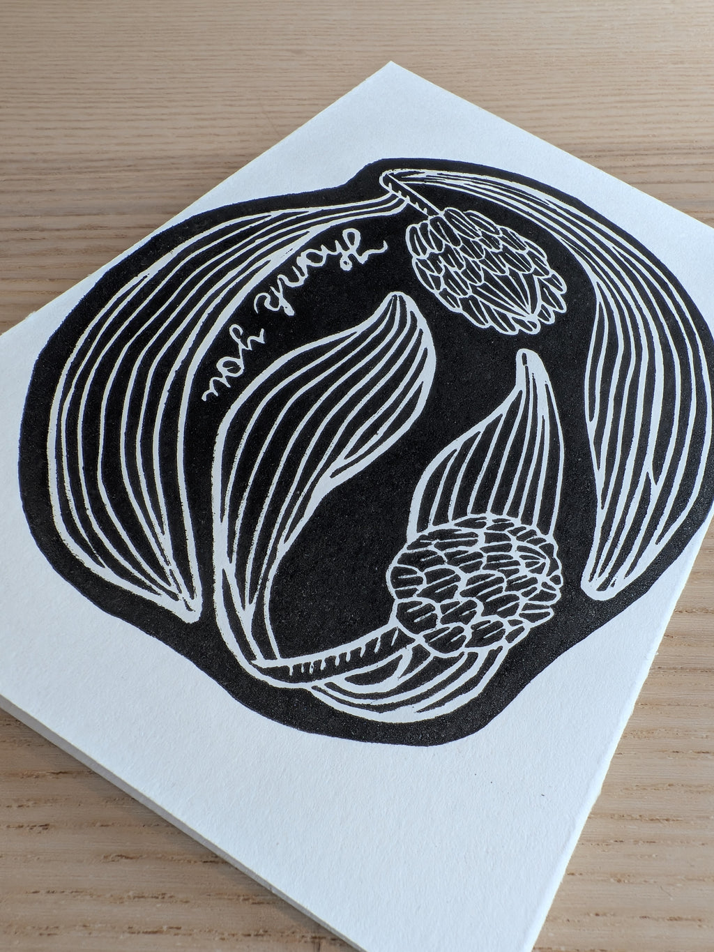 Hand-Printed Botanical Note Cards - Set of 3: Bird of Paradise, Jade, & Protea